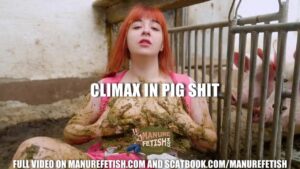 Free Scat Porn