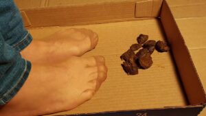Free Scat Porn