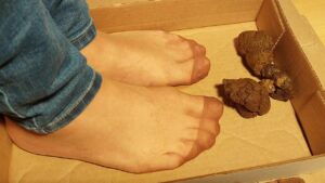 Free Scat Porn