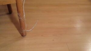 Free Scat Porn