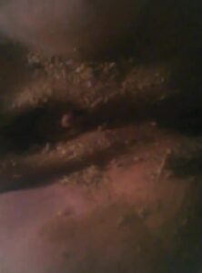 Free Scat Porn