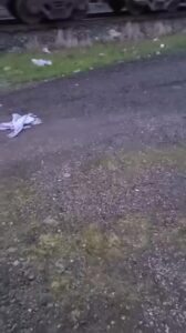 Free Scat Porn