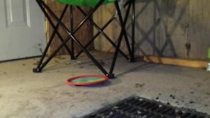 Free Scat Porn