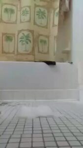 Free Scat Porn