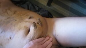 Free Scat Porn