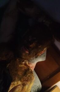 Free Scat Porn