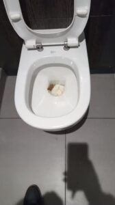 Free Scat Porn