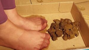 Free Scat Porn