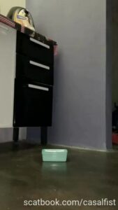 Free Scat Porn