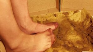 Free Scat Porn