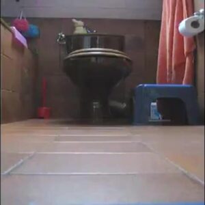 Free Scat Porn