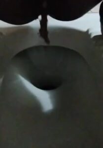 Free Scat Porn