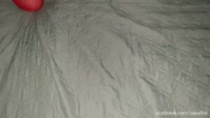 Free Scat Porn