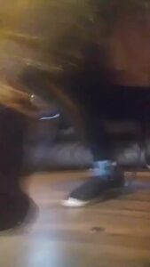 Free Scat Porn