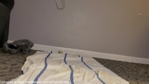 Free Scat Porn