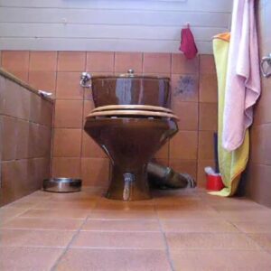 Free Scat Porn