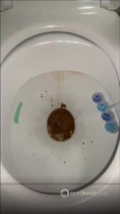 Free Scat Porn