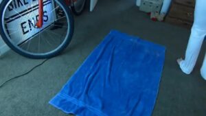 Free Scat Porn