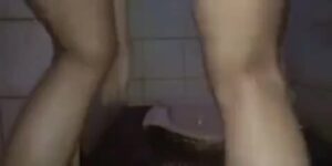 Free Scat Porn