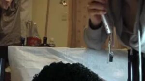 Free Scat Porn