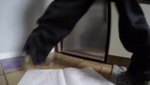 Free Scat Porn
