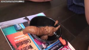 Free Scat Porn