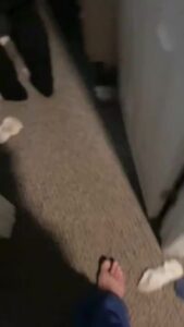 Free Scat Porn
