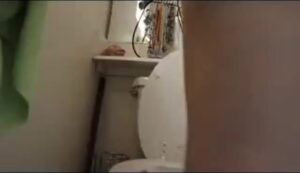 Free Scat Porn