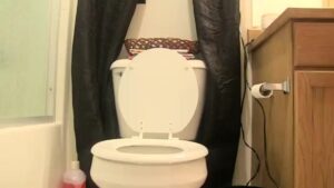 Free Scat Porn