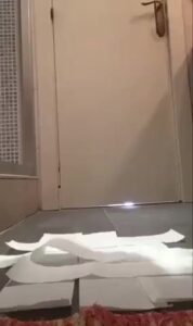 Free Scat Porn