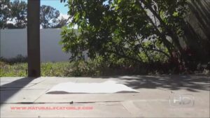 Free Scat Porn