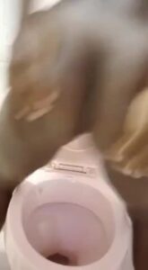 Free Scat Porn