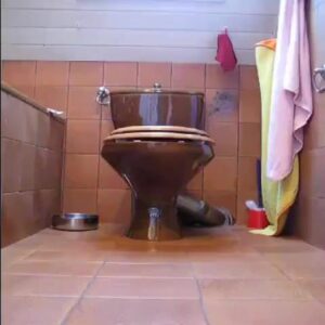 Free Scat Porn