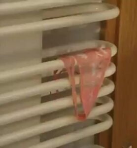 Free Scat Porn