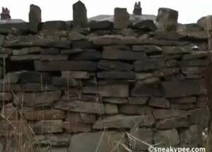 Free Scat Porn