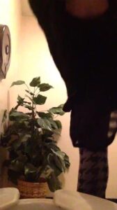 Free Scat Porn