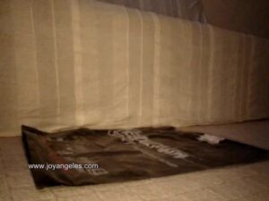 Free Scat Porn