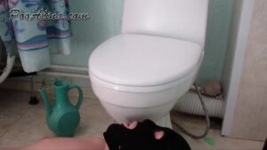 Free Scat Porn