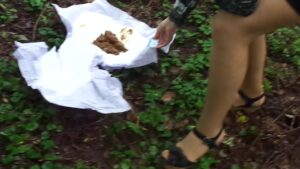 Free Scat Porn