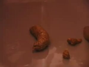 Free Scat Porn