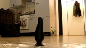 Free Scat Porn