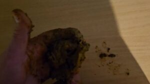 Free Scat Porn