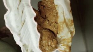 Free Scat Porn