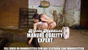 Free Scat Porn
