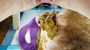 Free Scat Porn