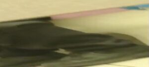 Free Scat Porn