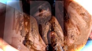 Free Scat Porn