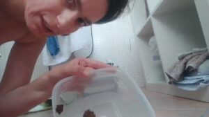 Free Scat Porn