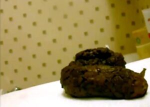 Free Scat Porn