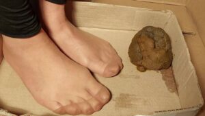 Free Scat Porn